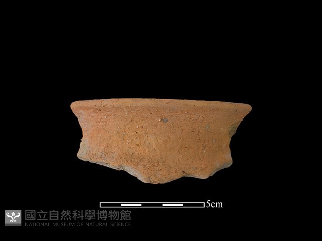陶罐藏品圖，第1張