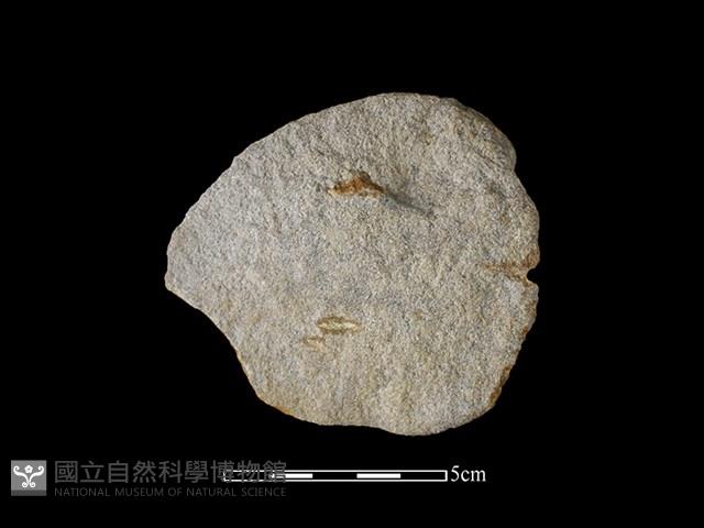 石片器藏品圖，第1張