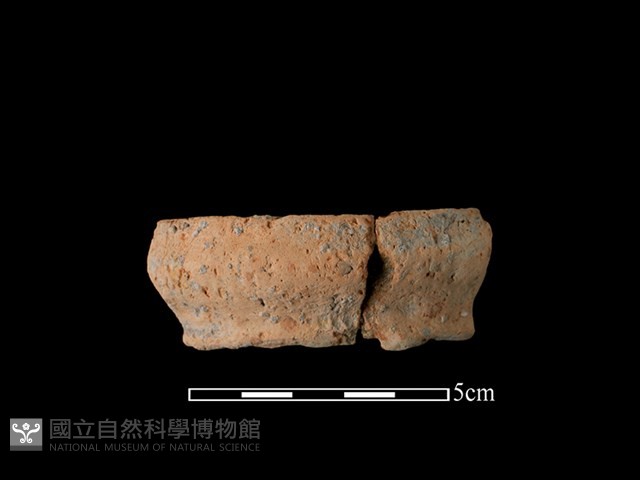陶罐藏品圖，第1張