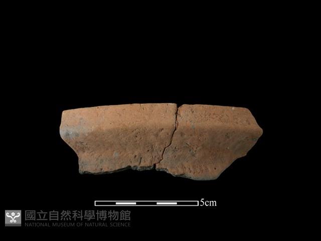 陶罐藏品圖，第1張