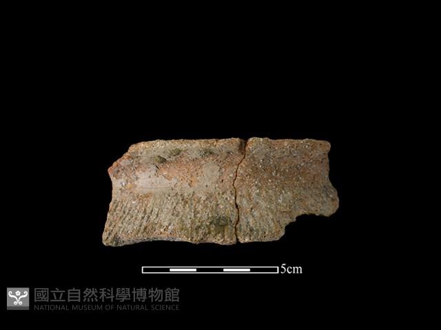 陶罐藏品圖，第1張