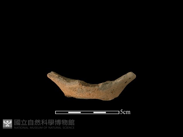 陶缽藏品圖，第1張