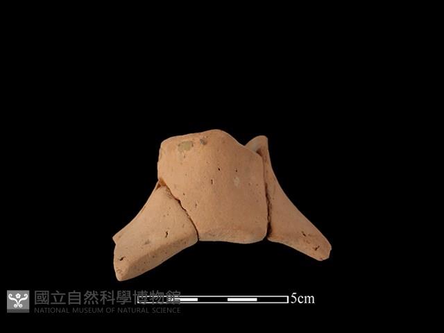 陶片藏品圖，第1張