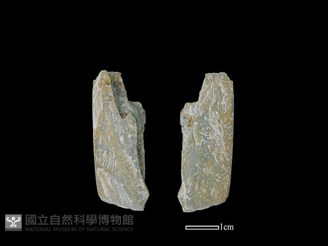 磨製石器藏品圖，第1張