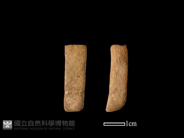 陶罐藏品圖，第1張
