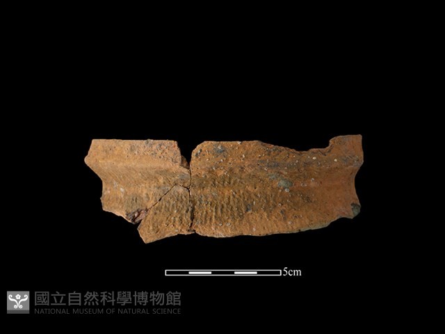 陶罐藏品圖，第1張