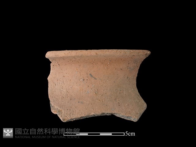 陶罐藏品圖，第1張
