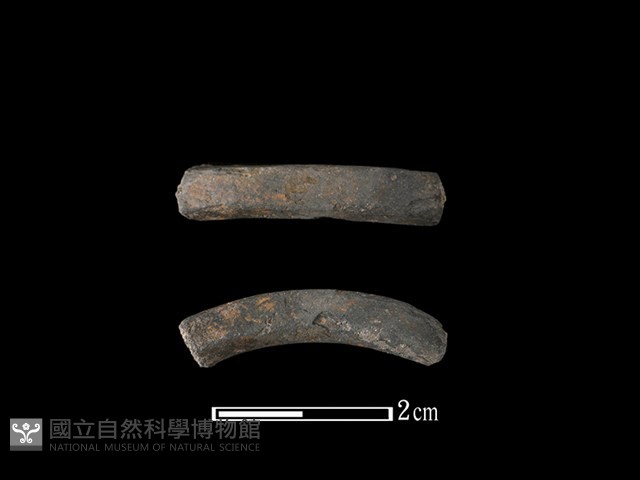 陶環藏品圖，第1張
