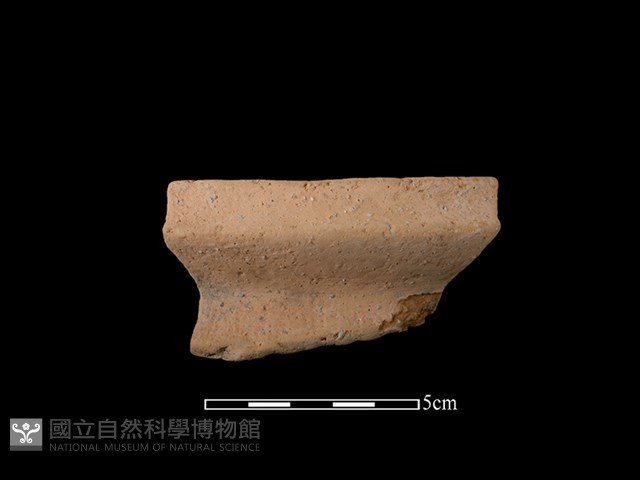 陶罐藏品圖，第1張
