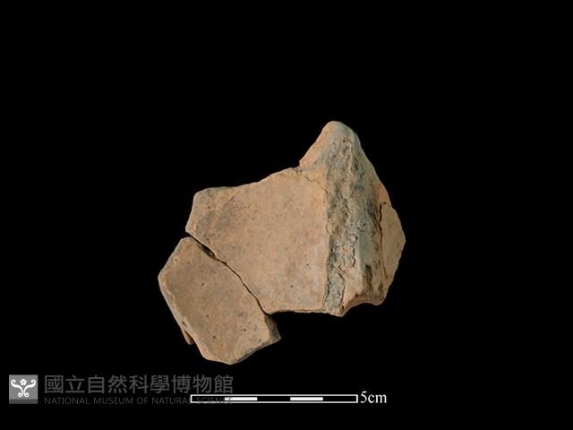 連杯形器藏品圖，第1張