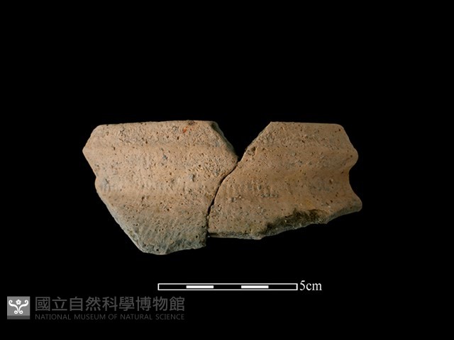 陶罐藏品圖，第1張