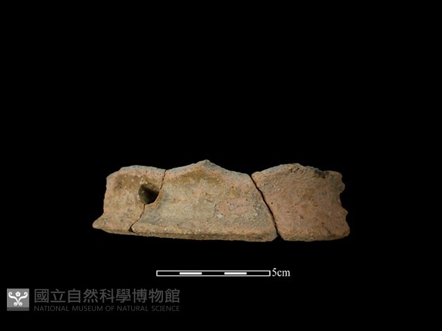 陶罐藏品圖，第1張