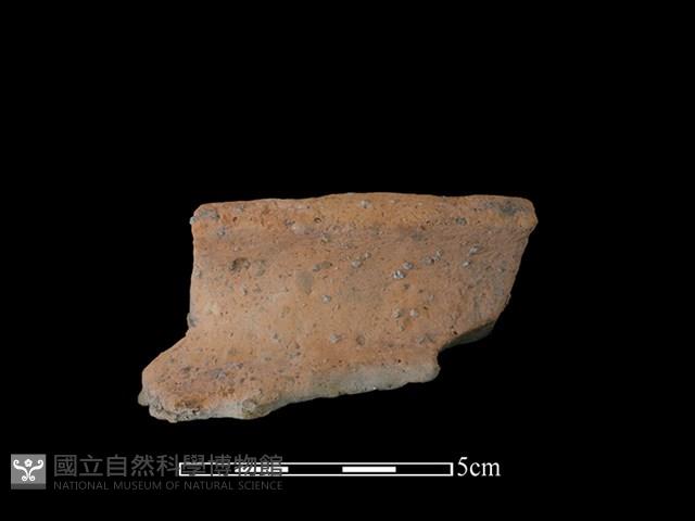 陶罐藏品圖，第1張