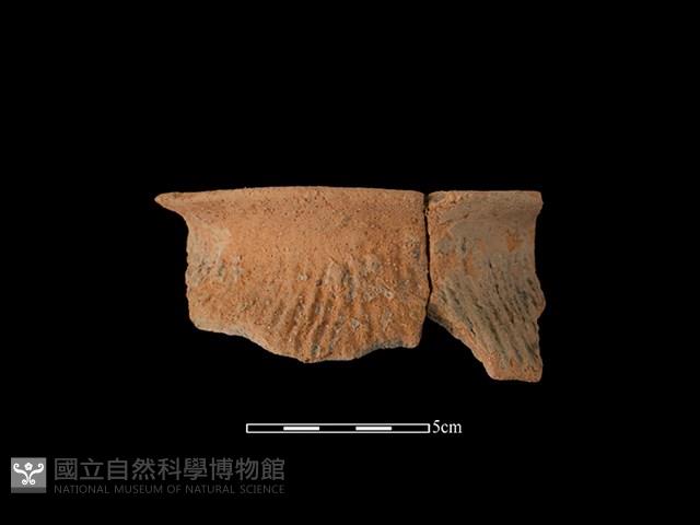 陶罐藏品圖，第1張