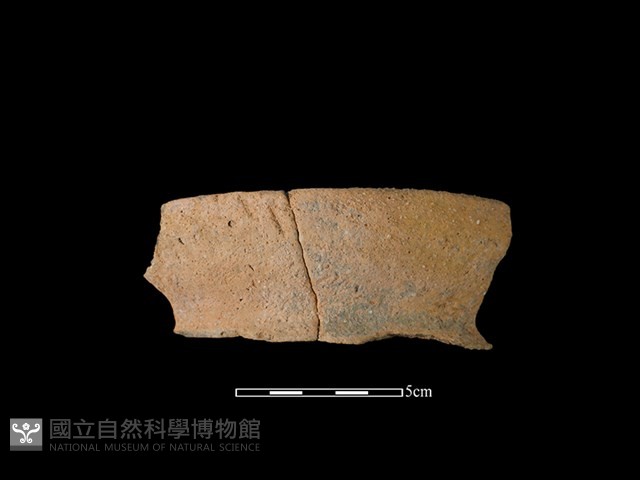 陶罐藏品圖，第1張