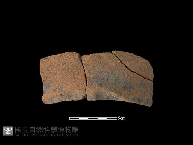 陶罐藏品圖，第1張