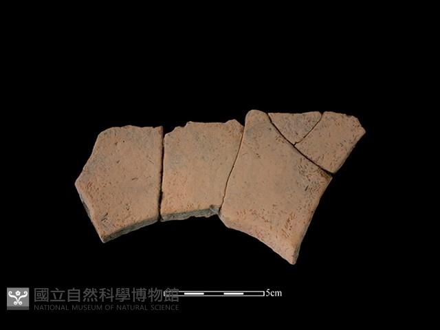 連杯形器藏品圖，第1張