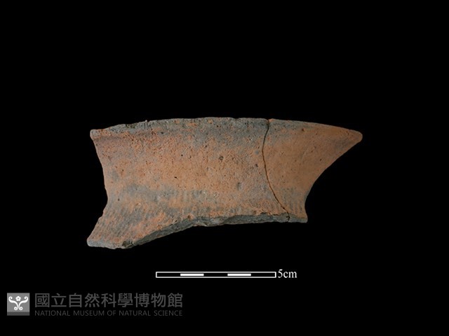 陶罐藏品圖，第1張