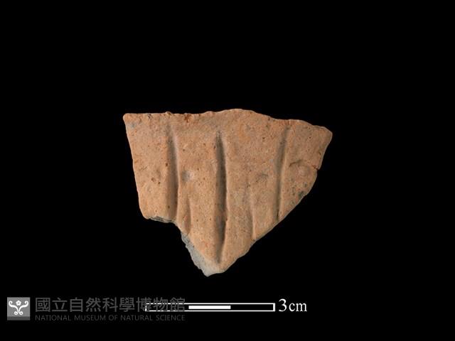 連杯形器藏品圖，第1張