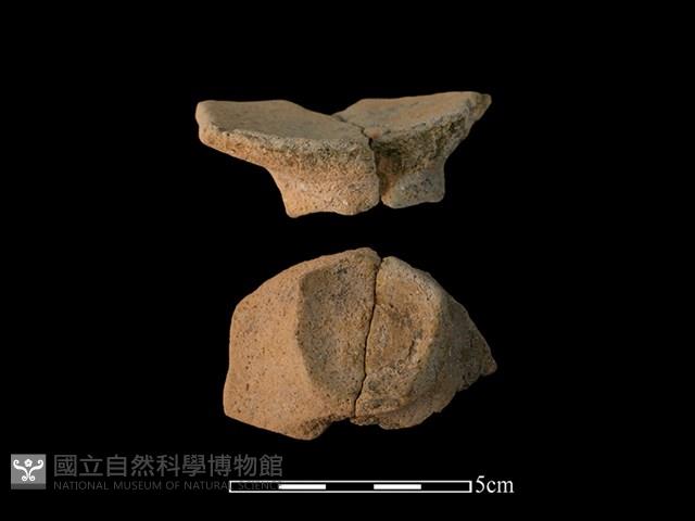 陶片藏品圖，第1張