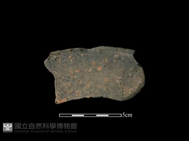 連杯形器藏品圖，第1張