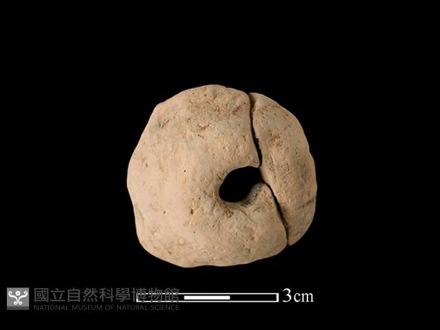 紡輪藏品圖，第1張