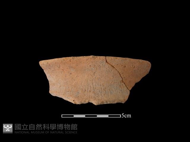 陶罐藏品圖，第1張