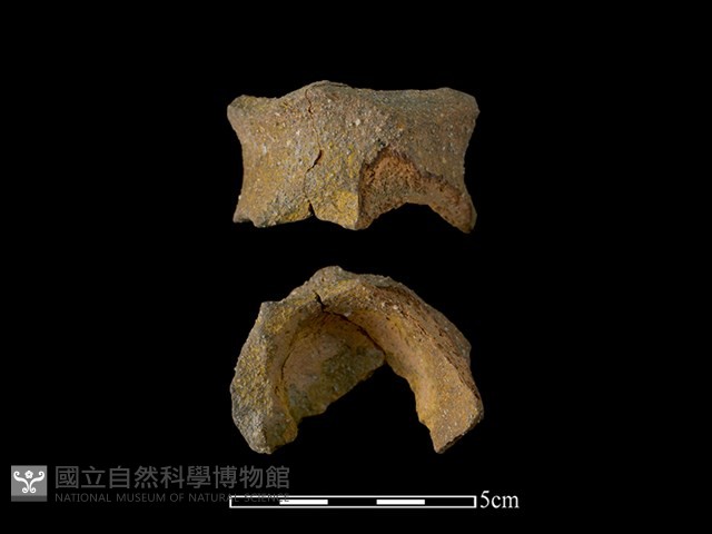 陶片藏品圖，第1張
