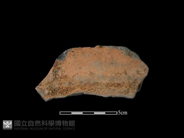 連杯形器藏品圖，第1張