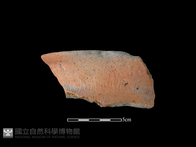 陶罐藏品圖，第1張