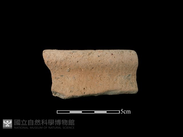 陶罐藏品圖，第1張