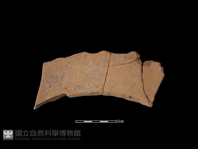 連杯形器藏品圖，第1張