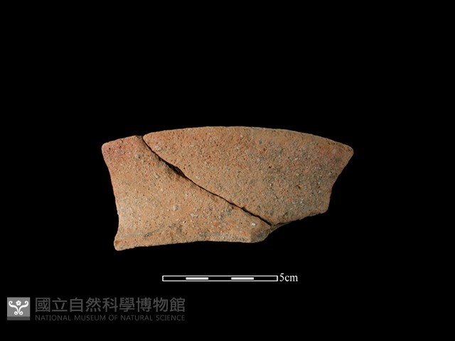 陶罐藏品圖，第1張