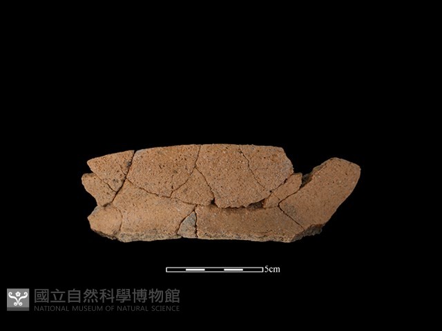 陶罐藏品圖，第1張