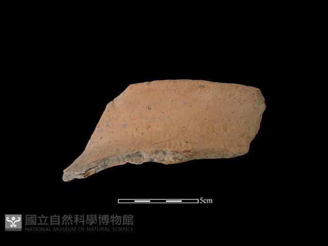 陶罐藏品圖，第1張