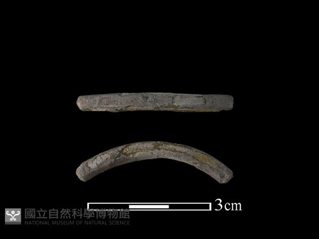 陶環藏品圖，第1張