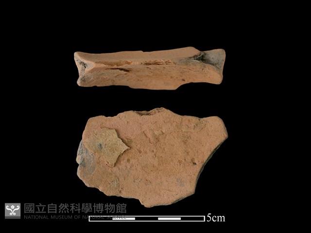 連杯形器藏品圖，第1張