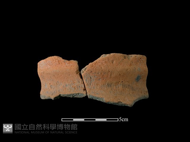 陶罐藏品圖，第1張