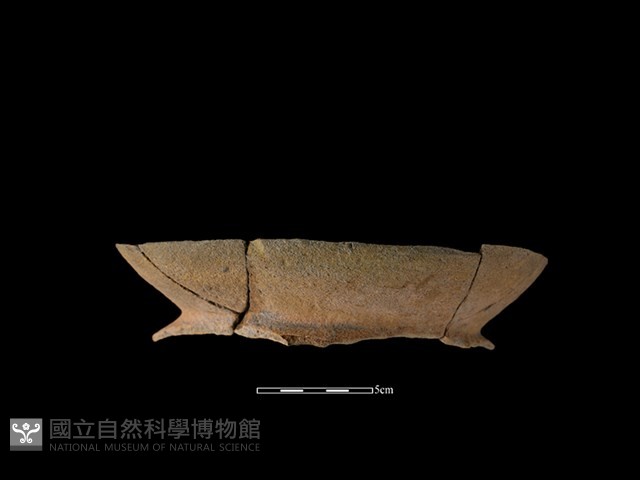 陶罐藏品圖，第1張