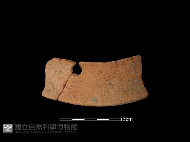 陶罐藏品圖，第1張