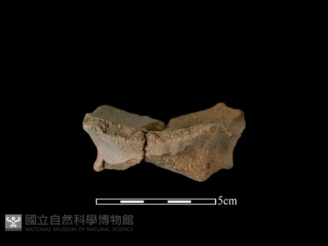 陶缽藏品圖，第1張