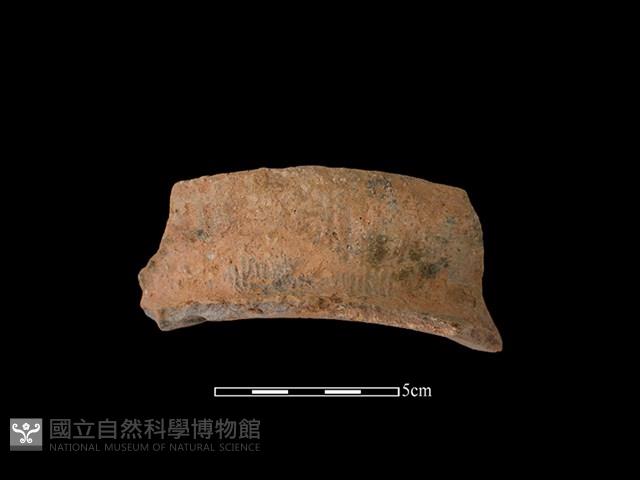 陶罐藏品圖，第1張