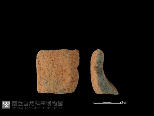 陶片藏品圖，第1張