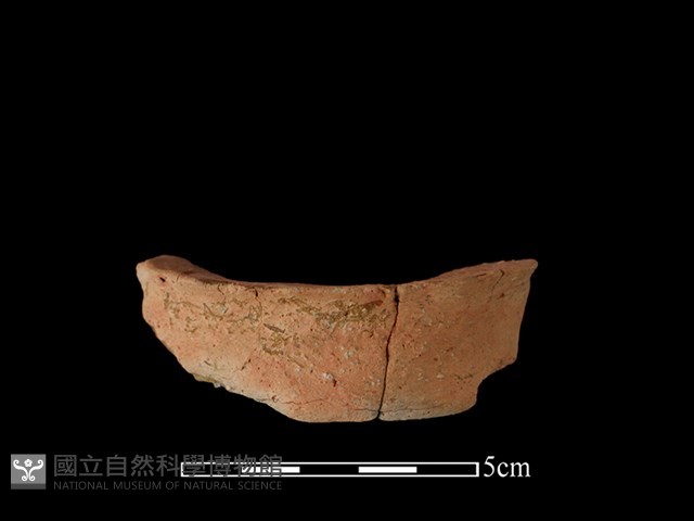 陶罐藏品圖，第1張