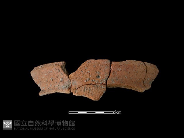 陶罐藏品圖，第1張