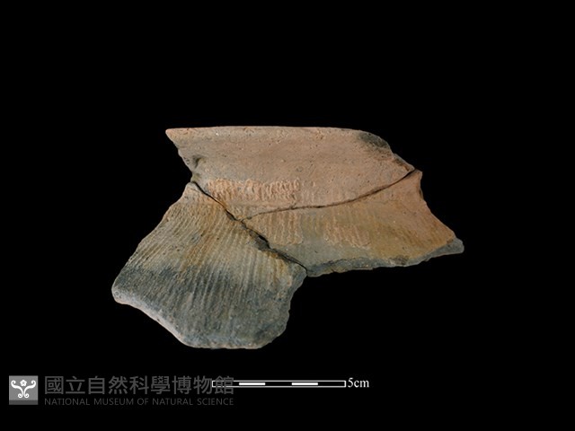 陶罐藏品圖，第1張
