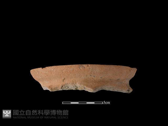 陶罐藏品圖，第1張