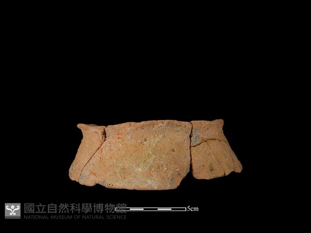 陶罐藏品圖，第1張
