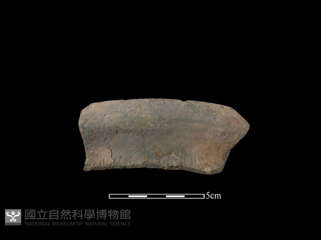 陶罐藏品圖，第1張