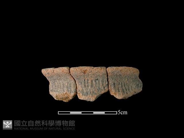 陶罐藏品圖，第1張